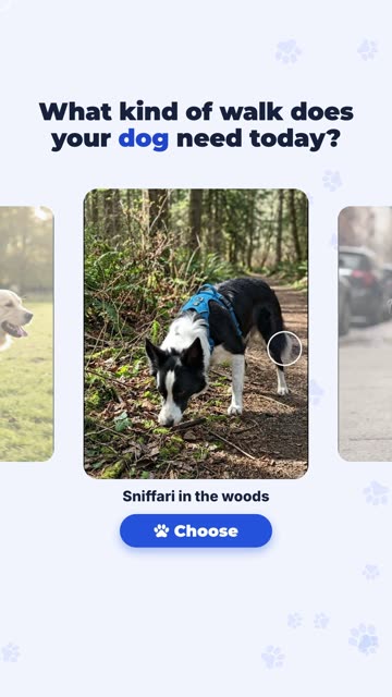 PawPath: Swipe
