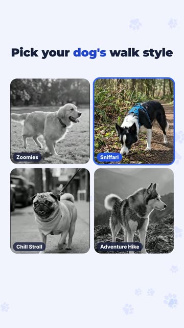 PawPath: Auswahl